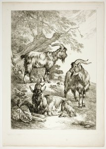 Tavola diciassette di 38 da Oeuvres de J. B. Huet da Jean Baptiste Huet