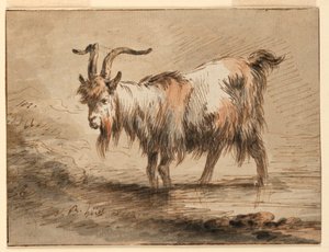 Disegno, Studio di una capra, 1772 da Jean Baptiste Huet