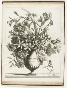 Vaso di fiori da Jean Baptiste Monnoyer