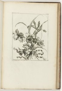 Bouquet legato (Les Petits Bouquets) da Jean Baptiste Monnoyer