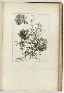 Bouquet legato (Les Petits Bouquets) da Jean Baptiste Monnoyer