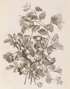 Tavola da "Le Livre de toutes sortes de fleurs d