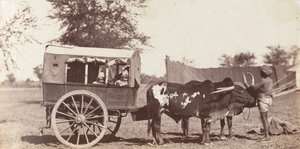 Gemelli Campbell in uno Shigram, Campo del Governatore Generale da Jean Baptiste Oscar Mallitte