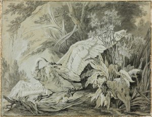 Un cigno selvatico attaccato da un cane da Jean Baptiste Oudry