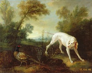 Blanche, cagna del branco reale di caccia da Jean Baptiste Oudry