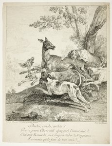 Cervi attaccati dai cani da Jean Baptiste Oudry