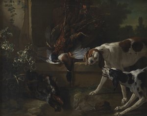 Cani con selvaggina e uccelli selvatici
