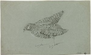 Pernice da Jean Baptiste Oudry