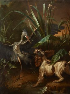 Spaniel d