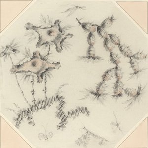 Fiori di bambù e cactus da Jean Baptiste Pillement