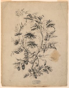 Disegno, Ramo di un albero fantastico, 1775-1800 da Jean Baptiste Pillement