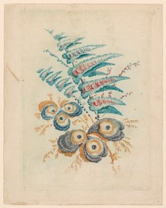 Motivo floreale fantastico da Nouvelle Suitte de Cahiers de Fleurs Idéales