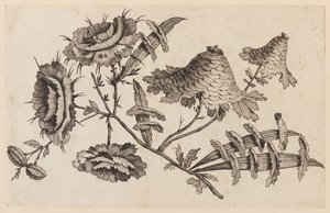 Ramo di fiore, da "Recueil de Fleurs Chinois" da Jean Baptiste Pillement