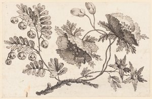 Ramo di fiori, da "Recueil de Fleurs Chinois" da Jean Baptiste Pillement