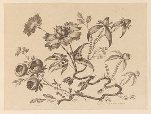 Rami di fiori, da "Recueil de Differentes Fleurs de Fantaisie Dans le Goût Chinois"