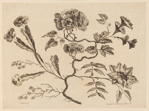 Rami di fiori, da "Recueil de Differentes Fleurs de Fantaisie Dans le Goût Chinois"