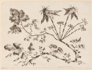 Rami di fiori, da "Recueil de Differentes Fleurs de Fantaisie Dans le Goût Chinois" da Jean Baptiste Pillement