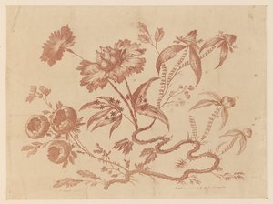 Rami di fiori, da "Recueil de Differentes Fleurs de Fantaisie Dans le Goût Chinois"