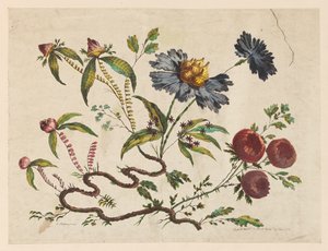 Rami di Fiori, da "Recueil de Differentes Fleurs de Fantaisie Dans le Goût Chinois"
