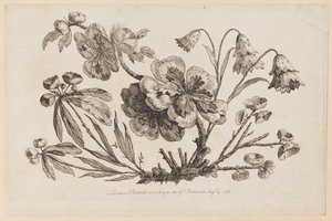 Rami Fioriti, da "Recueil de Fleurs de Chinois"