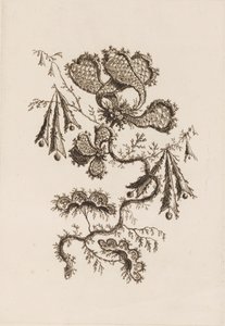 Ramo di Fiori, da "Fleures Persannes"
