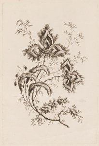 Ramo di fiori, da "Fleures Persannes"