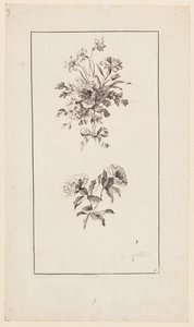 Rami di fiori, da "Divers Bouquets d