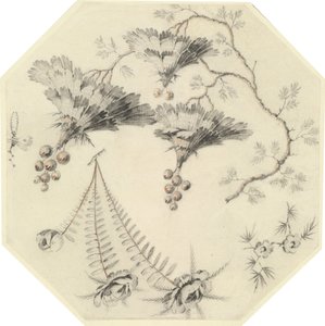 Fiori di pagoda e rose da Jean Baptiste Pillement