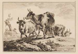 Tavola 4, da "Cahier de Six Feuilles de Boeufs et Vaches" da Jean Baptiste Pillement