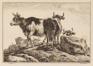 Tavola 6, da "Cahier de Six Feuilles de Boeufs et Vaches" da Jean Baptiste Pillement