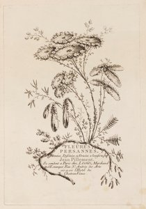Pagina del titolo, da "Fleures Persannes" da Jean Baptiste Pillement