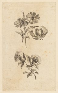 Due rami di fiori da Jean Baptiste Pillement