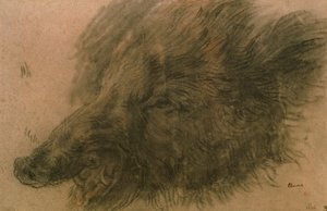 Testa di Cinghiale da Jean Baptiste Simeon Chardin