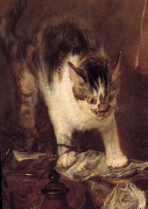 Natura morta con pesci, ostriche, brocca e gatto (dettaglio) da Jean Baptiste Simeon Chardin