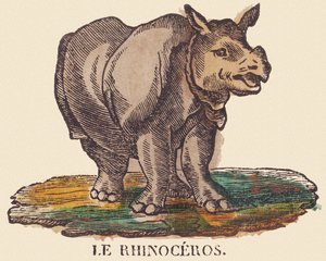 Il rinoceronte, c.1840-1852 (litografia) da Jean Baptiste Thiebault
