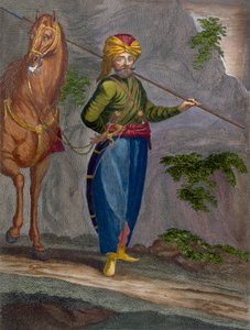 Uno Spahi, tavola 34 da 