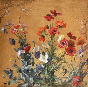 Papaveri, iris e fiori
