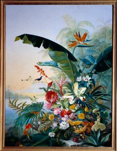 Fiori esotici da Jean Benner Fries