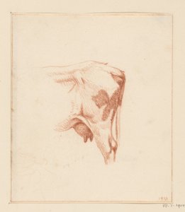 Zampe posteriori di una mucca da Jean Bernard