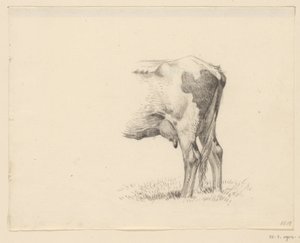 Zampe posteriori di una mucca da Jean Bernard