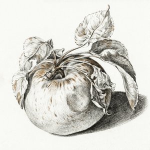 Apple da Jean Bernard