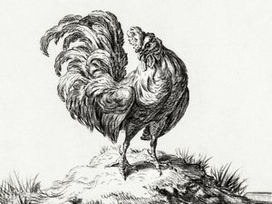 Un pollo in cima a una collina da Jean Bernard
