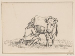 Una mucca viene munta