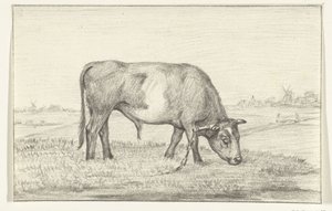 Toro al pascolo in un prato, verso destra da Jean Bernard