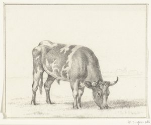 Toro al pascolo, verso destra da Jean Bernard