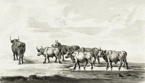 Gruppo di sei tori da Jean Bernard