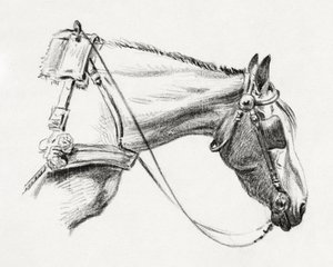 Testa di cavallo (1820) da Jean Bernard