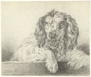 Cane da Jean Bernard