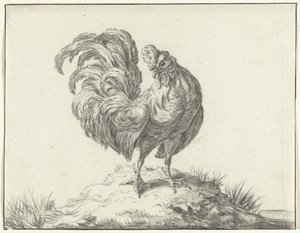 Pollo, in piedi su una collinetta da Jean Bernard