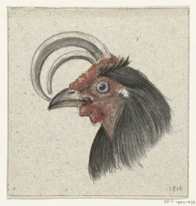 Testa di un gallo da Jean Bernard